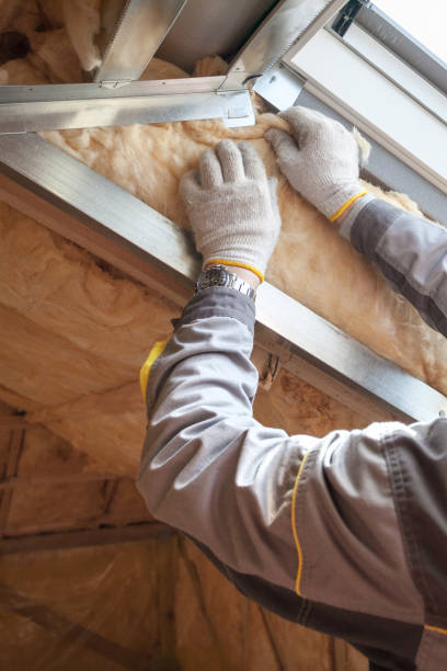 Best Spray Foam Insulation  in Hollywood, FL
