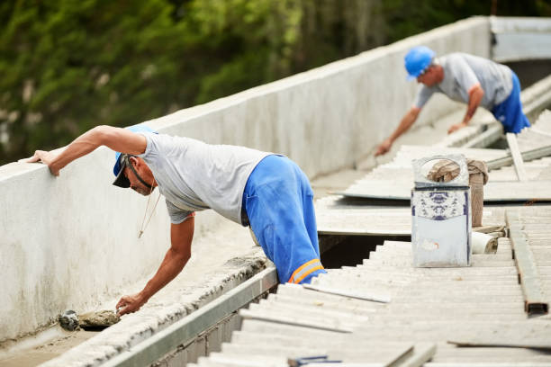 Best Insulation Removal  in Hollywood, FL