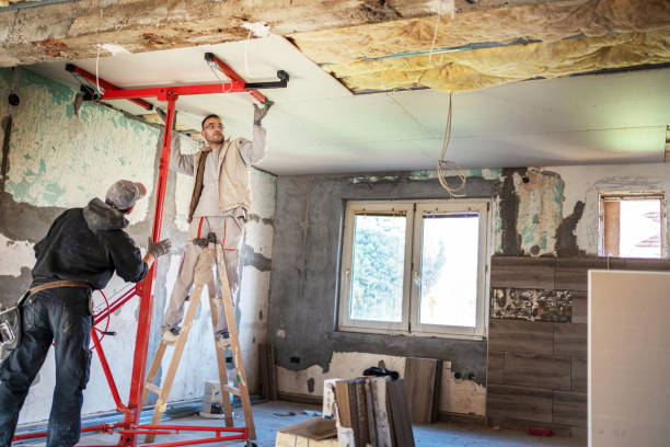 Best Energy-efficient Insulation  in Hollywood, FL