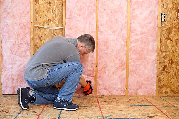 Best Blown-in Insulation  in Hollywood, FL